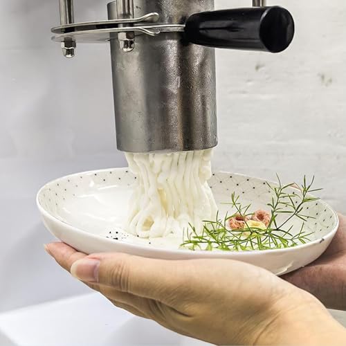 Eis- und Soft-Eis-Maschine, Kommerzielle Spaghetti-Eispresse 28-30 L/Std, Gelato-Maschine mit 4 Formen, Eisnudel-Hersteller – Bild 4