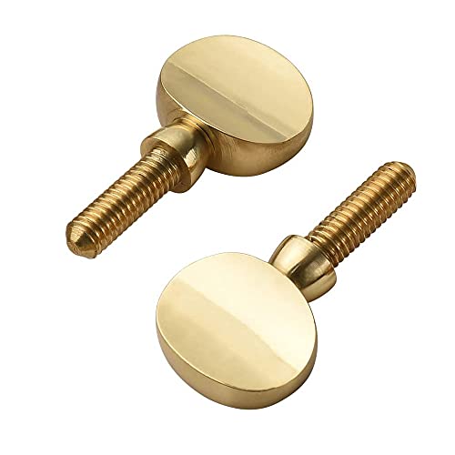 image for Jiayouy Golden Sax Neck Screw Tightening Attach Screw for Soprano Alto