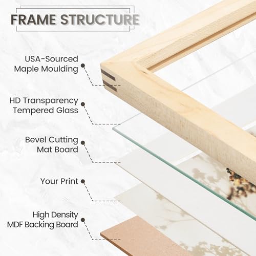 Image of 24x30 Poster Frame, USA-Sourced Natural Maple Wood Picture Collage Frame with HD Tempered Glass, Modern Simple 24 x 30 Wooden Photo Frame Matted to 18x24, Vertical & Horizontal Wall Hanging Display
