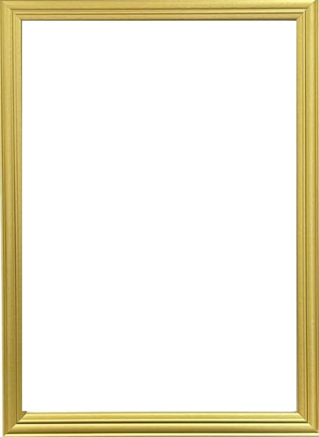 Lw Gold,Antique Style Picture, Photo, Frames A1,A2,A3,A4,A5,A6,and Square size Available (Gold, 24x24 Inch)