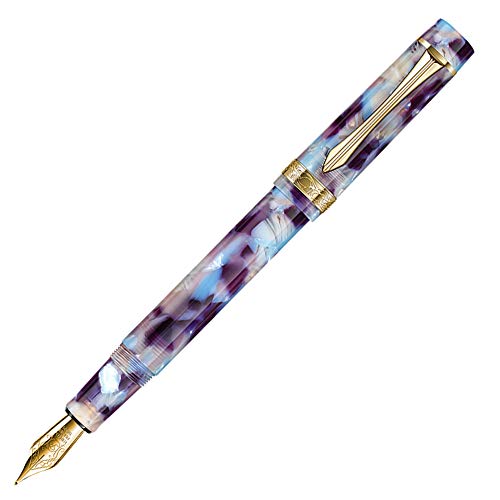 Stylo plume celluloïd LIY Schmidt fine et étui de luxe le cadeau idéal