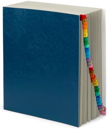 Amazon.com : Blue Summit Expanding Desk File, Letter Size, 12 Dividers ...