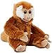 WWF Plüsch- WWF WWF50572-Peluche a Forma di Scimmia, 23 cm, Super Morbido e Realistico, da coccolare e Amare, Lavabile a Mano, Multicolore, WWF50572