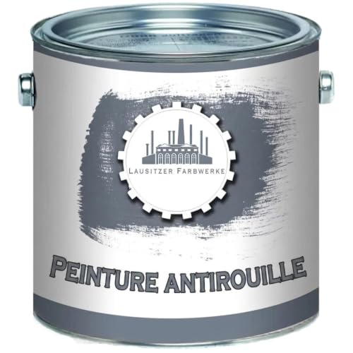 Peinture en métal et bois mat 2 en 1 noir RAL 9005 + vernis pour intérieur et extérieur – particulièrement robuste et à séchage rapide – Couleurs...