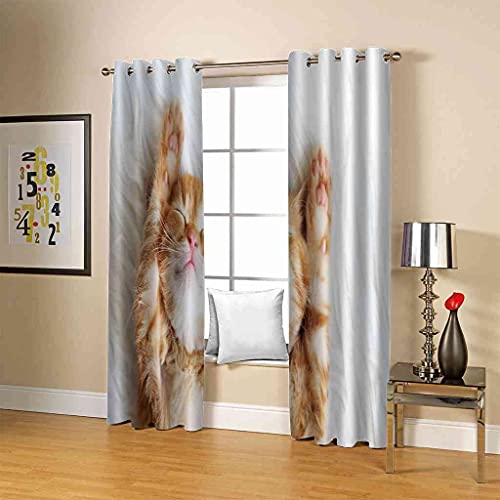 Rideaux à oeillets imprimé chat pour illuminer et réchauffer la déco du salon - 5