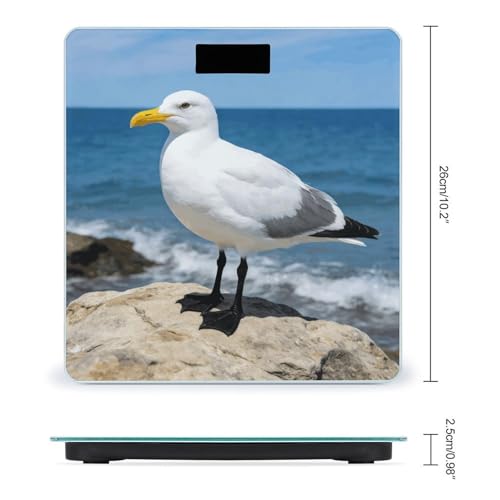 Báscula digital para baño con pantalla LCD y cinta métrica miniatura 2