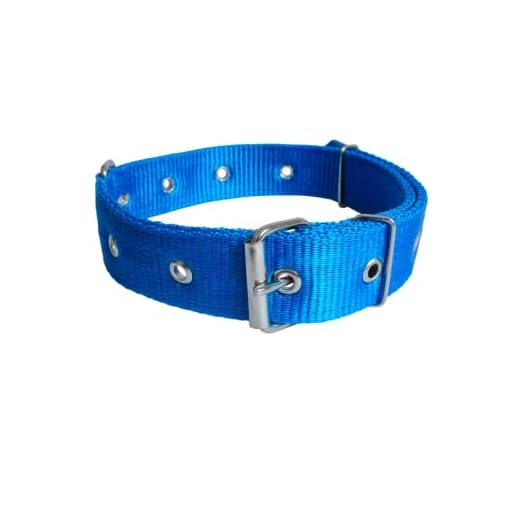 Coleira Nylon Dupla Pet Cachorros Raças Medias Fita 3 cm (35 a 55 cm, Azul)