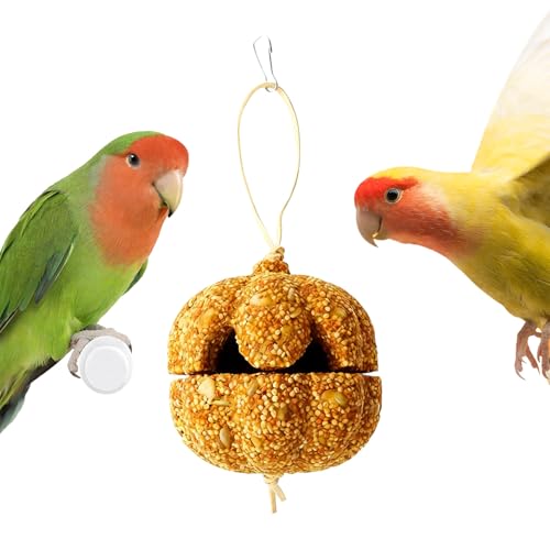 IEg[c,ybgpi  肨 IEp - J{``IJCRXibN,uo[h JiA RV[ oj[ MjAsbO ``p