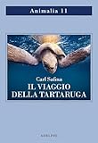 Il Viaggio Della Tartaruga - 2