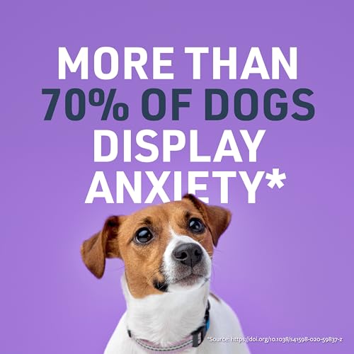 Image of Veterinary Formula Smart Vitality Pet Calm Supplement for Dogs - Soft Chews, 100ct - Promotes a Sense of Relaxation During Moments that May Cause Stress - Fireworks, Travel, Changes in Routine