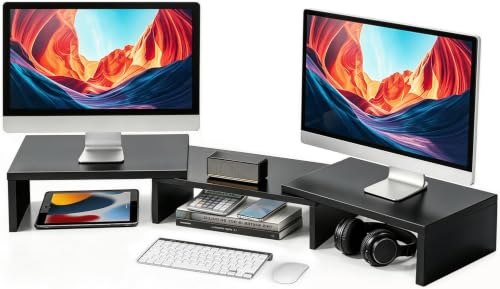 TAVR Monitor Stand Riser, Office Desktop Organizer Stand for 2 Monitors