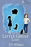 Little Ghost Lost (Destiny Bay Cozy Mysteries Book 5)