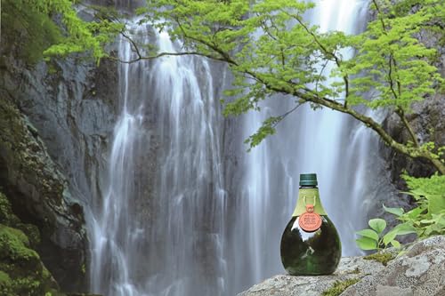 雲海 マヤンの呟き そば焼酎 38度 720ml