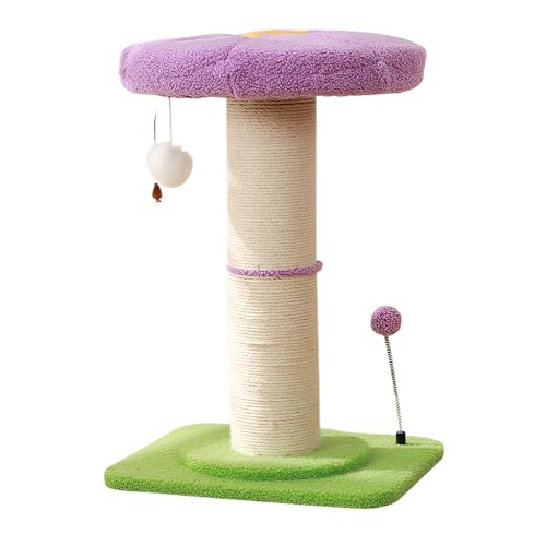 [Arklove]Lp܂Ƃ|[ ܌L^[ VRTCUR O\ ϋv Ή  RpNg gȒP qL^L fUC  {\h Ƌی