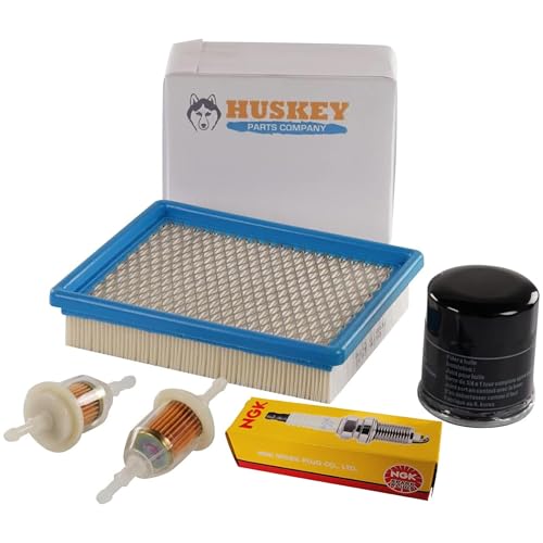 Huskey Club Car Ds Tune Up Kit Fits DS 4 Cycle Gas Carts 1992- Up with FE290 FE350 Engines Including Air Filter, 2X Fuel Filter, Oil Filter and NGK Spark Plug