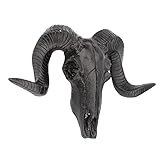 Baoblaze 3D Ram Curled Horns Wall Wildlife Animal Head Sculpture Wall Mounted Decor Bedroom Living Room Sheep Skull Wall Decorative Ornaments