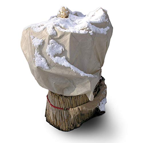 NOOR Wintervlies 1 5 x 5 m 30gr/mI Winterschutz Vlieshaube I Frostschutzhaube für Pflanzen I Winterschutz für Pflanzen Überwinterung I Frostresistenter Pflanzenvlies/Winterschutzvlies I Beige