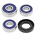 All Balls 25-1517 Wheel Bearing and Seal Kit