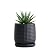 D'vine Dev Ceramic Beaded Stoneware Planter Pot - Flower Pot with Drainage Holes and Saucers, 27-C