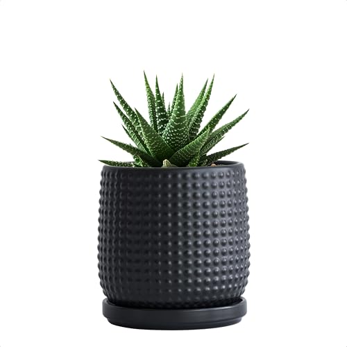 D'vine Dev 4 Inch Ceramic Beaded Stoneware Planter Pot - Flower Pot with Drainage Holes and Saucers for Indoor Succulent Plants or Flowers, Ebony Matte, 27-C-Z-6 by D'vine Dev - Used condition - US$15.51