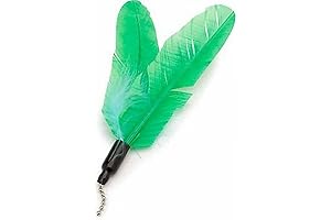 Icat's Revolutionary Feline Flyer Replacement