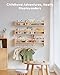 Seocry Nursery Book Shelves, Scalloped Shelves, Floating Book Shelves for Wall, Nursery Deocr for Baby, Toddler(Wood, 23 Inches)