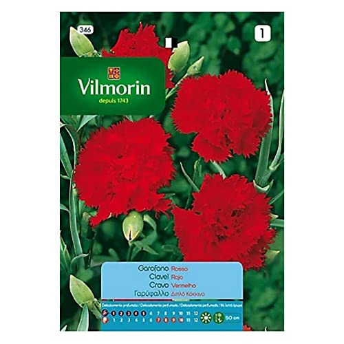Semi Di Garofano Rosso Fiori S-1,0,6 Gr