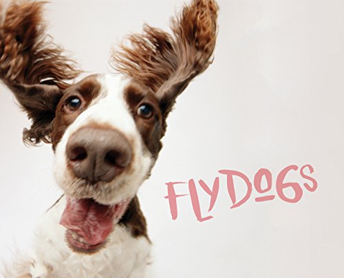 Flydogs view 2