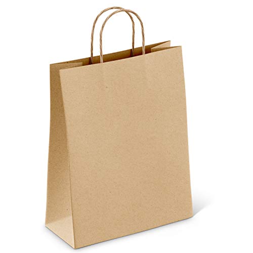 AME D'ESSENCE (25 pcs) Kraft Brown Paper Bags w/Handles Reusable Grocery Bags Great Gift Bag Recyclable Shopping Bags Medium Size 10.0