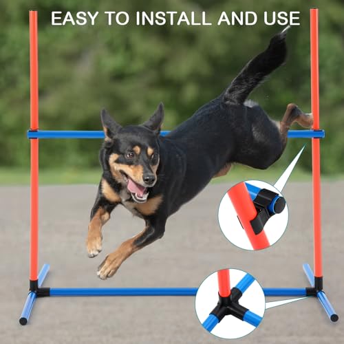Dog agility equipment in use outdoors