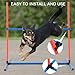 Shappy 4 Pieces Dog Agility Equipment with Adjustable Height Jump Bars Adjustable Dog Agility Jumps with Carry Bag Exercise Jumping Hurdles for Indoor Outdoor Course Game (Blue,Orange)