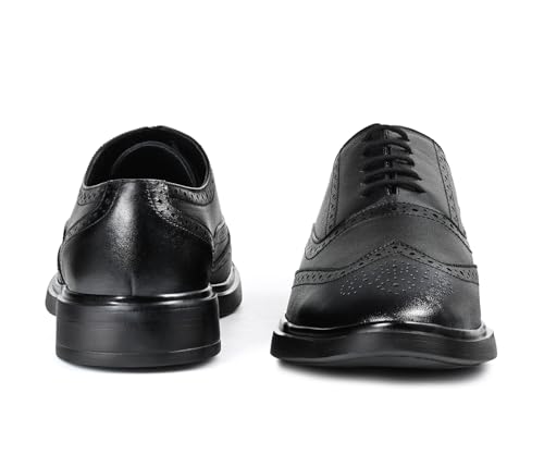 Image of LOUIS STITCH Genuine Leather Shoes for Men | Formal Shoes for Men | EVA Sole Comfort Cushion| LSFX-JB