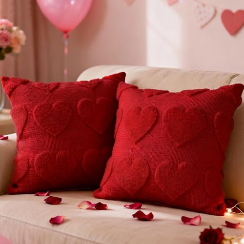 Lanpn 45x45cm Fundas de Cojín San Valentín Juego de 2, Funda de