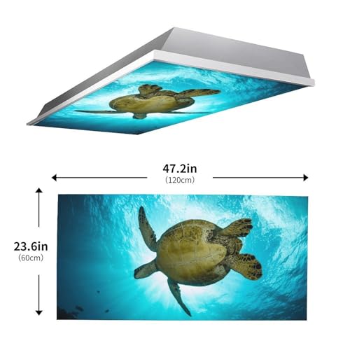 Image of 2pcs Sea Turtle Fluorescent Light Covers for Ceiling Lights Classroom, Magnetic Light Filters for Office, Hospitals, Home 4 X 2 Feet