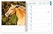 Horse Lovers | 2026 6 x 7.75 Inch Spiral-Bound Wire-O Weekly Engagement Planner Calendar | New Full-Color Image Every Week | BrownTrout | Animals Equestrian