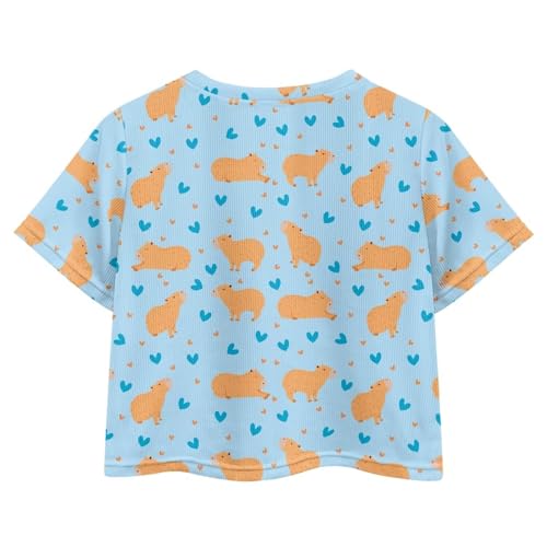 Image of Girls Crop Tees Crew Neck Casual Short Sleeve T Shirts Kids Loose Soft Comfortable Tees Blouses Shirt for Little Girl