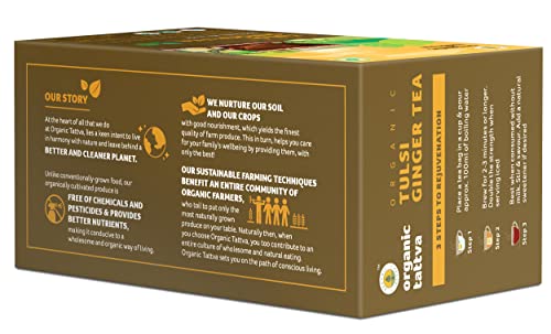 Image of Organic Tattva Green Tea Tulsi Ginger, 20 Tea Bags | Herbal Infusion for Daily Refreshment, Immunity Support, and Soothing Warm Beverage (Pack of 3)