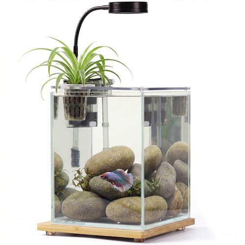 2.5 Gallon Nano Aquarium Kit