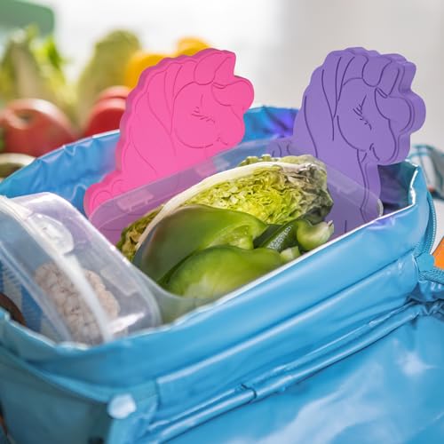 HiYZ Bolsas de gelo Unicórnio para lancheiras – Sacos de gelo reutilizáveis para crianças – Congelam