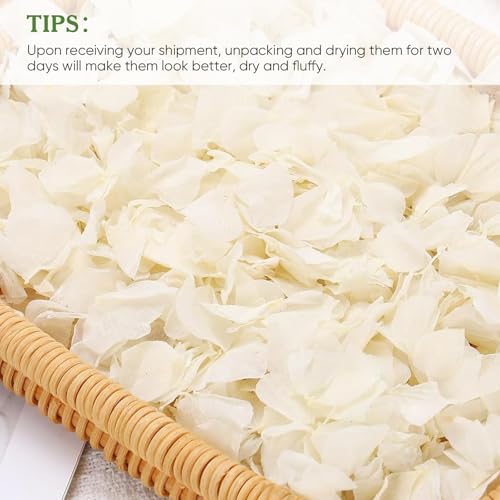 1500 pétalos de hortensia blanca natural seca 30g miniatura 6