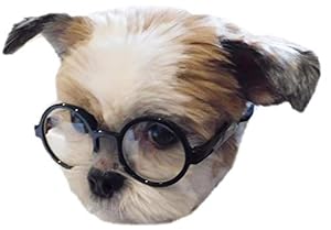 Style Vault G017 Runde Kostümbrille für Hunde