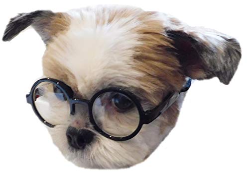 G015 Dog Cat Pet Costume Glasses Goggles for Small Breeds up to 15lbs (Round Black-Clear Lens)