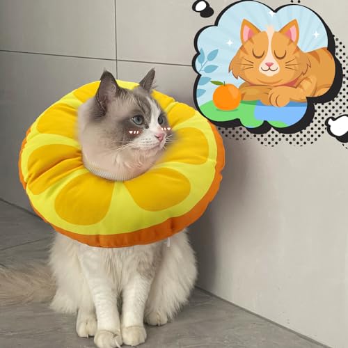 KUDES Cat Small Dog Cone Collar,{Fruit Series}Cute Orange Waterproof Elizabethan e Collar Anti-Bite Lick Wound Healing Protective Neck Cone After Surgery Recovery Collar for Small Pet,All-Season Style