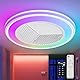 DWDVBL Moderne RGB Deckenventilator mit Beleuchtung φ50cm RGB LED Fan Licht mit Fernbedienung Timer 6 Geschwindigkeiten Stufenloses Dimmen Deckenventilator mit Lampe