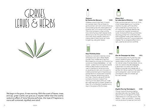 Perfume: In Search of Your Signature Scent - Image 2