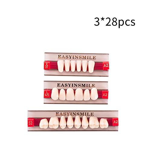 Image of Easyinsmile Dental Synthetic Resin Teeth A2 A3 False Upper Lower Teeth Replacement Dentures for Halloween (A2, Full Set 425+U37+32)