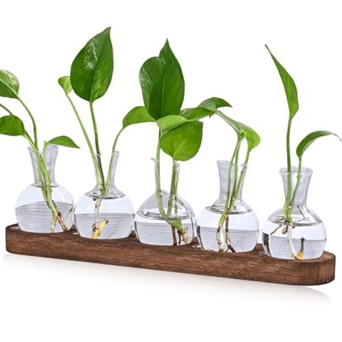 Lot de 5 mini vases de propagation vintage avec plateau en bois marron - Pour décoration de table - Mini vases hydroponiques - Décoration pour fleurs,...
