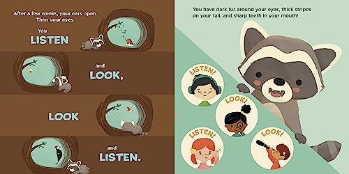 You Are a Raccoon! (Meet Your World) - Image 2