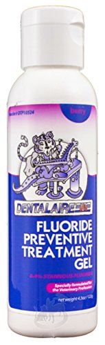 Dentalaire Flouride Preventive Treatment Gel [Berry] (4.3 oz)