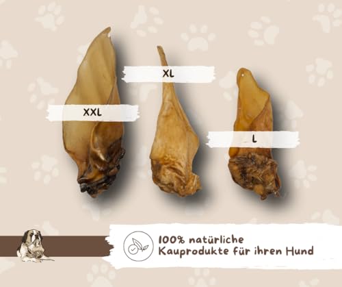 Warnick´s Tierfutterservice Hundesnack - Premium Rinderohren mit Muschel XXL – luftgetrocknet & ohne Zusätze - Zahnpflege & artgerechter Kauspaß für Hunde - 25 Stück im Vorratspack.